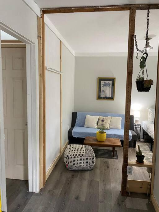 Studio Apt W Garden Кингстън Екстериор снимка