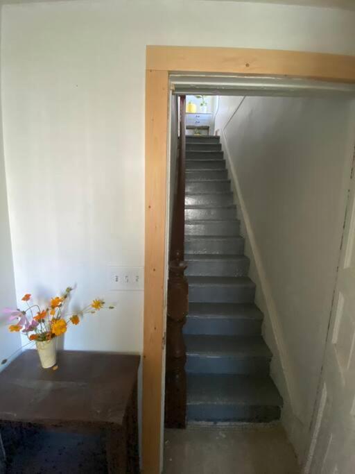 Studio Apt W Garden Кингстън Екстериор снимка