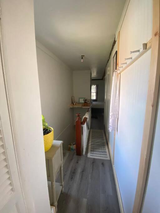 Studio Apt W Garden Кингстън Екстериор снимка