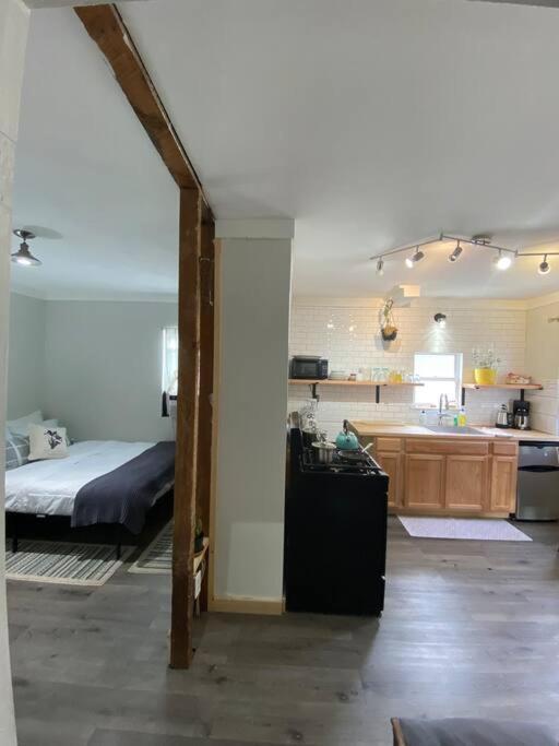 Studio Apt W Garden Кингстън Екстериор снимка