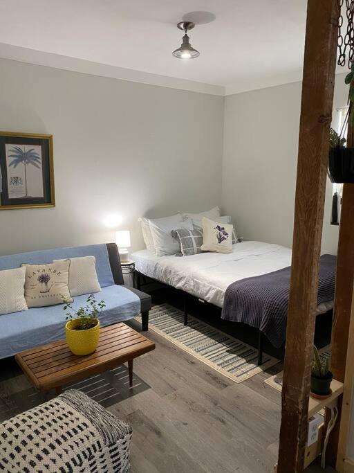 Studio Apt W Garden Кингстън Екстериор снимка