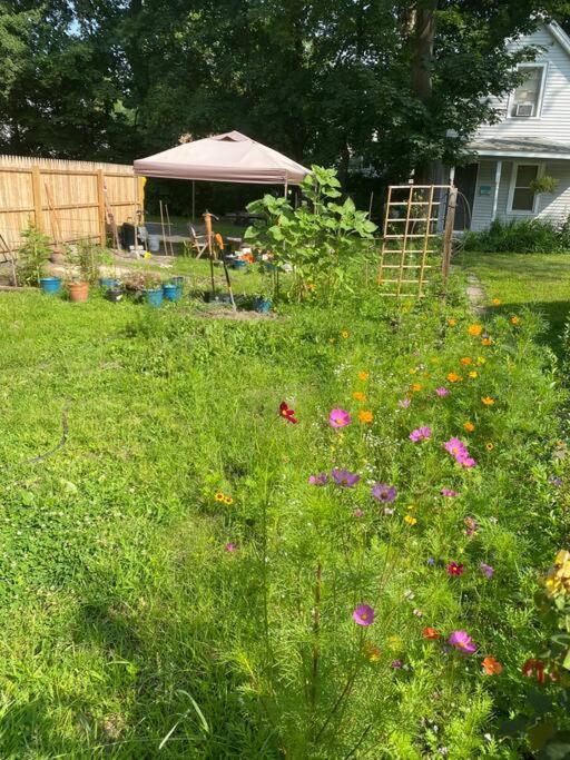 Studio Apt W Garden Кингстън Екстериор снимка